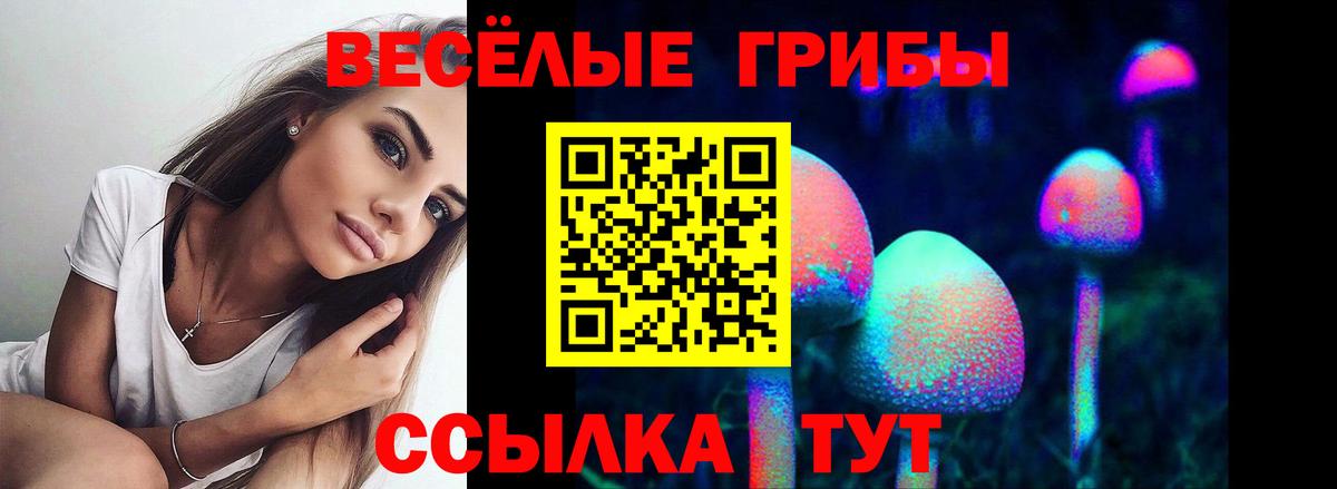 Новотроицк  Галлюциногенные грибы MAGIC MUSHROOMS  Вход с VPN 